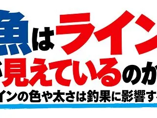 魚はラインが見えているのか？釣りでライン…