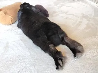 〜 更新される日常 〜