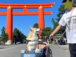 平安神宮の大鳥居