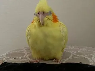 寝起き〜