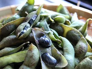 【丹波の黒枝豆争奪戦 入荷日のお知らせ】
