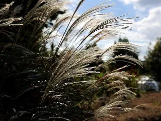 秋が深まってきた