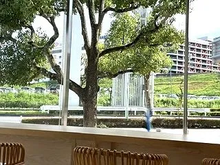 日々の雑言☆歯科医院の窓から