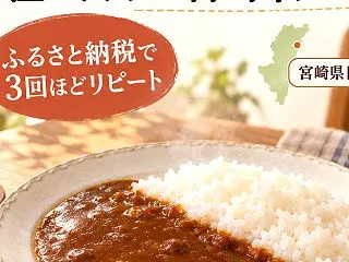 日向市の宮崎牛カレーをふるさと納税でリピ…