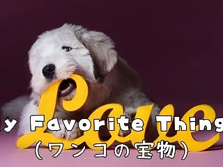 My Favorite Things（ワ…
