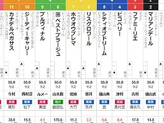 土曜東京11R アルテミスS 予想