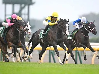 【予想】 第15回 アルテミスステークス…