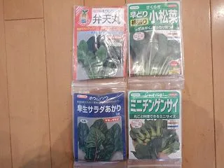 家庭菜園用の葉物野菜の種を蒔きました！！