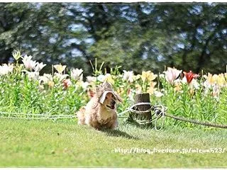★さすがに終わりだね～(;^ω^)★