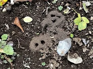 藝術の秋だからね