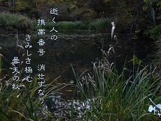 「携帯電話番号」