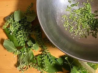 しその実の醤油漬け