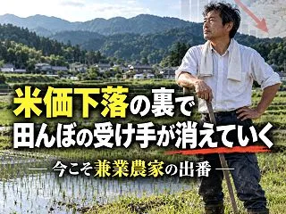 米価下落の裏で田んぼの受け手が消えていく