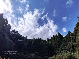 人酔い