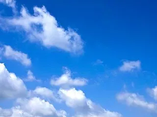 （２３０）初めての別の病院で胃カメラをし…