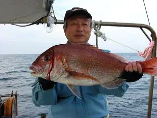今朝も竿を持たずに様子見