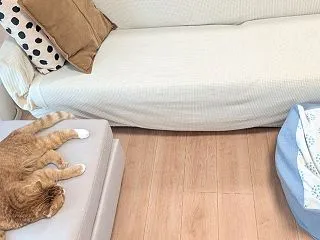 【パーキンソン病】オフ時の過ごし方