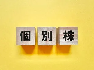 ◎【インデックス投資と個別株投資】初心者…