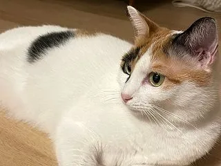 ◆スリル