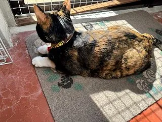 剣岳と秋晴れ散歩