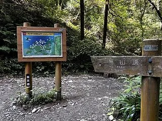 一人高尾山