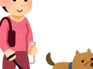 犬の散歩って、歩かなくても効果があるのか…