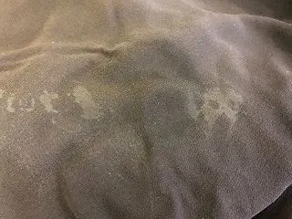 衣替え時のカビに注意⚠️