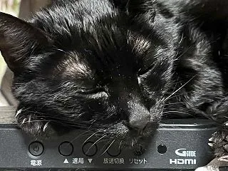 1日を快適に毎日を過ごす為の朝