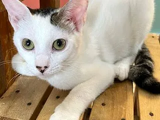 今朝も元気な保護っ子たち