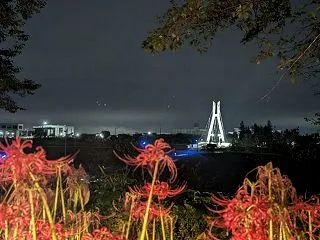 曼殊沙華【夜】（権現堂）
