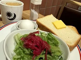 ACCN無料セミナー 26.10.24