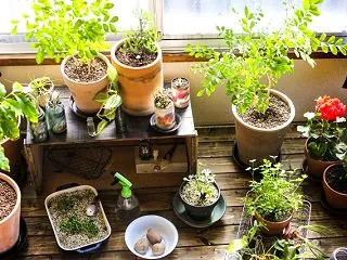休みなしを卒業する