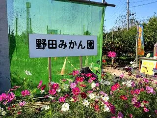 流山から車で30分！子連れにおすすめ「野…