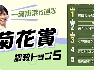 【菊花賞】プロ予想家・豚ミンC厳選の穴馬…