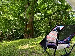 ブログ再開します