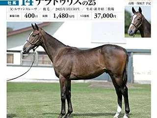 【出資確定馬ご紹介】No,14 ナラトゥ…
