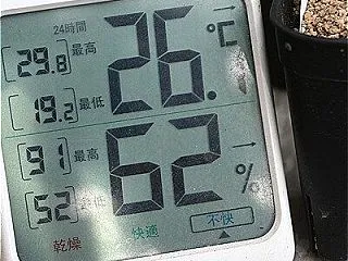 お店の写真＆今日は雨＾＾昼からは曇りに