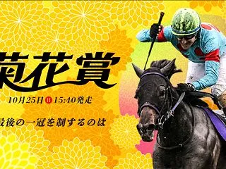 第87回 菊花賞・データ分析＆予想