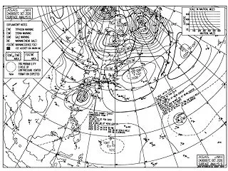 １０月２４日 ひょっとしてこいつの事？？