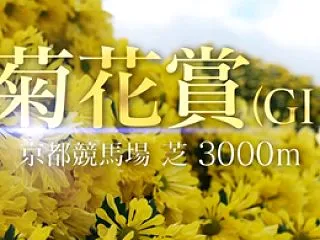さぁ、菊花賞！！
