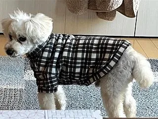 少しお休みします