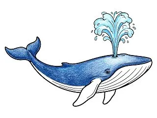 潮をふくクジラの塗り絵｜無料ダウンロード…