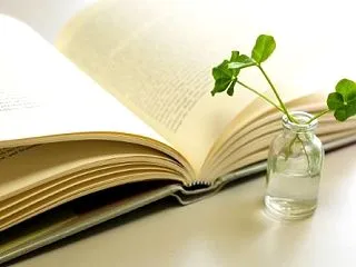 慈雨 （集英社文庫） 柚月裕子