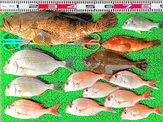 2026年10月24日 釣果