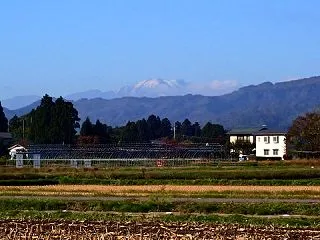 ☆★二日目は「本物の」ベニバナ染め体験