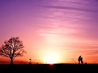 本日は夕焼けでお茶を濁す日でございます～…