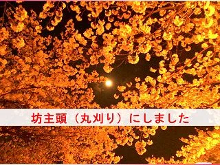 坊主頭（丸刈り）にしました #ファッショ…
