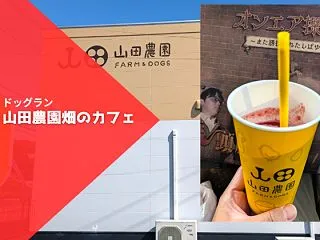 山田農園 畑のカフェ｜岡崎の有機野菜カフ…