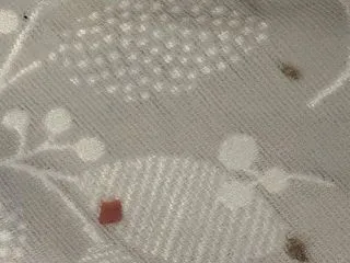 43歳の抱負〜コロから学ぶ⁈〜