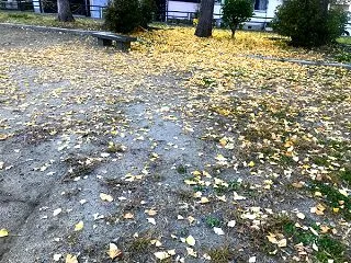 動くべし
